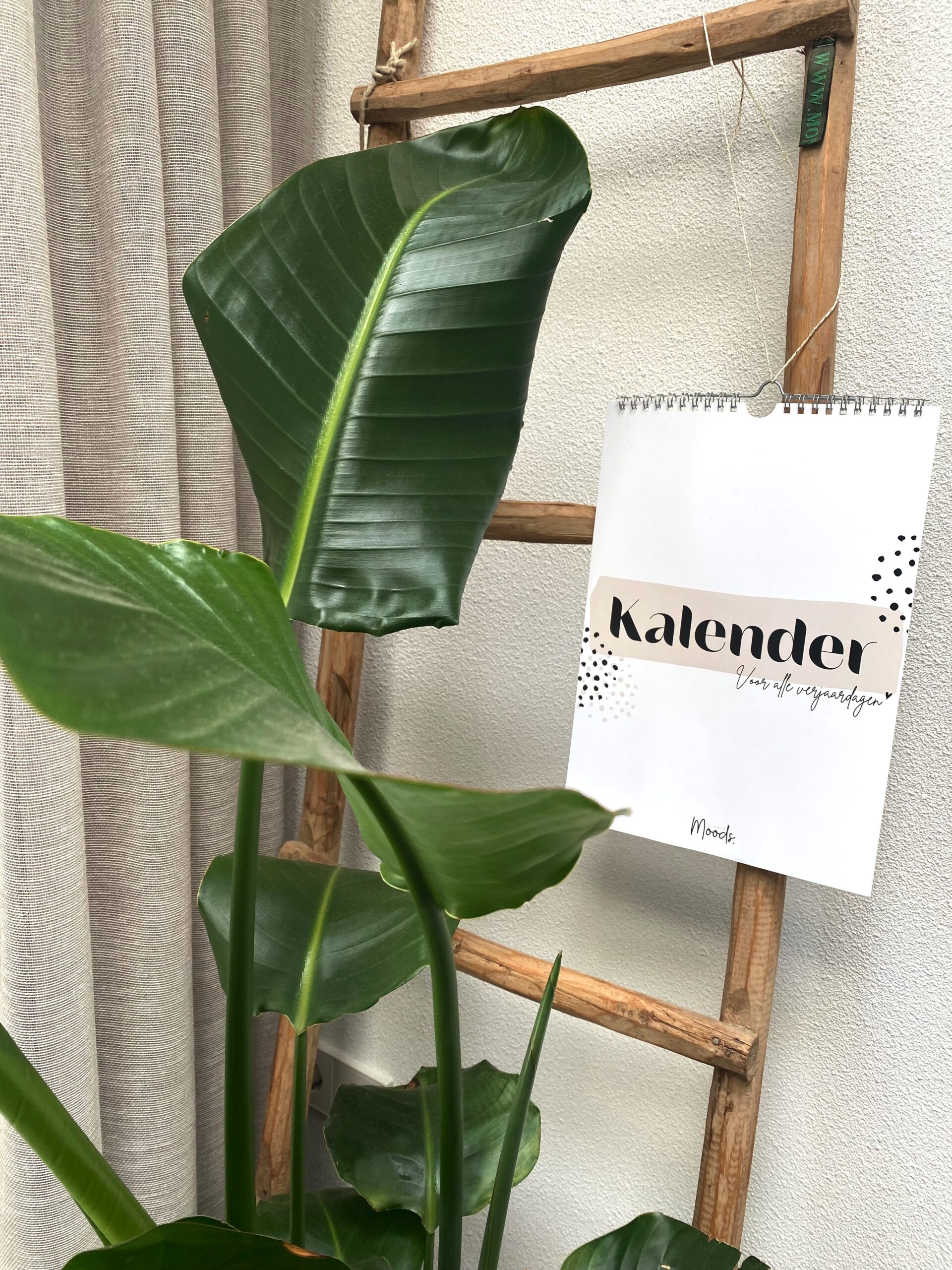 D162EFC3-DC20-4B7E-AF1F-71E034404292